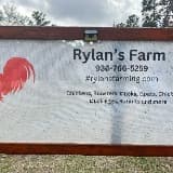 Rylan Sears