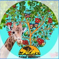 Kimberly Sievers Haring