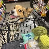 Whitney Worrell-Estrada