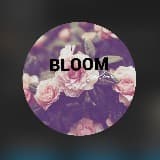 BLOOM Salon