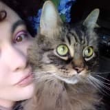 Catlin Carrico