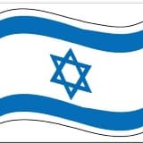 Osi Leeb