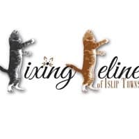 Fixing Felines
