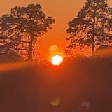 Jack Tucker