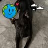 Waggin Tails