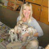 Susan Chadwick