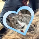 Regan Brewer-Johnson