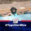 Shelia Lewis