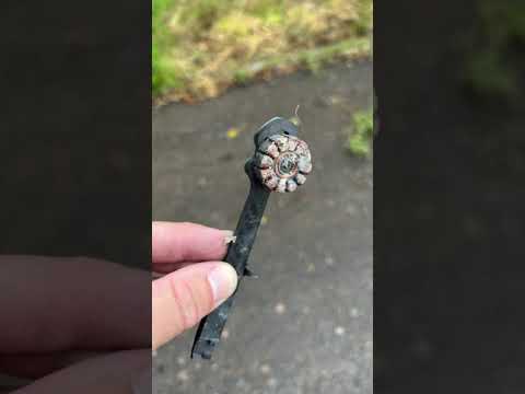 ForElectronicsOfCombatDrones