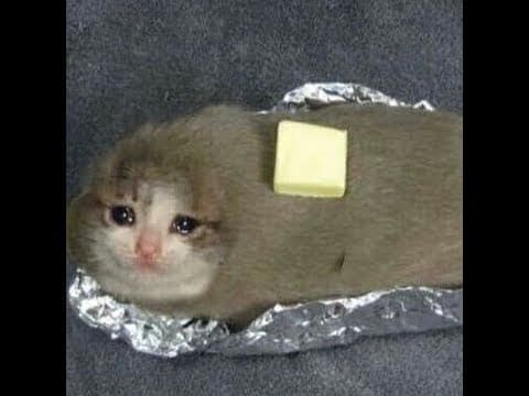 NewComputerGasToHighCantSave