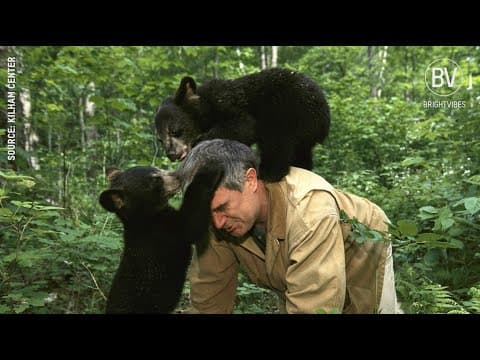 RunningTheAT4OrphanedBears