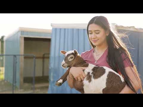 OzarksTechEagleBreakfast