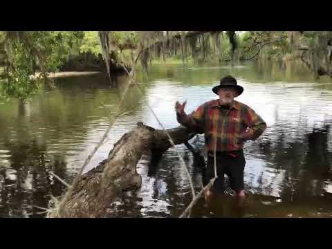StopTheUnscenicMyakkaSeawall