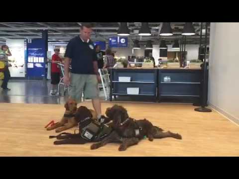 Help Michael Get A Life-Saving Diabetic Alert Dog
