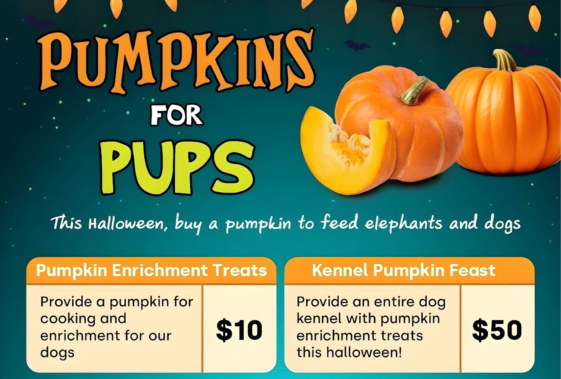 PumpkinsforPups