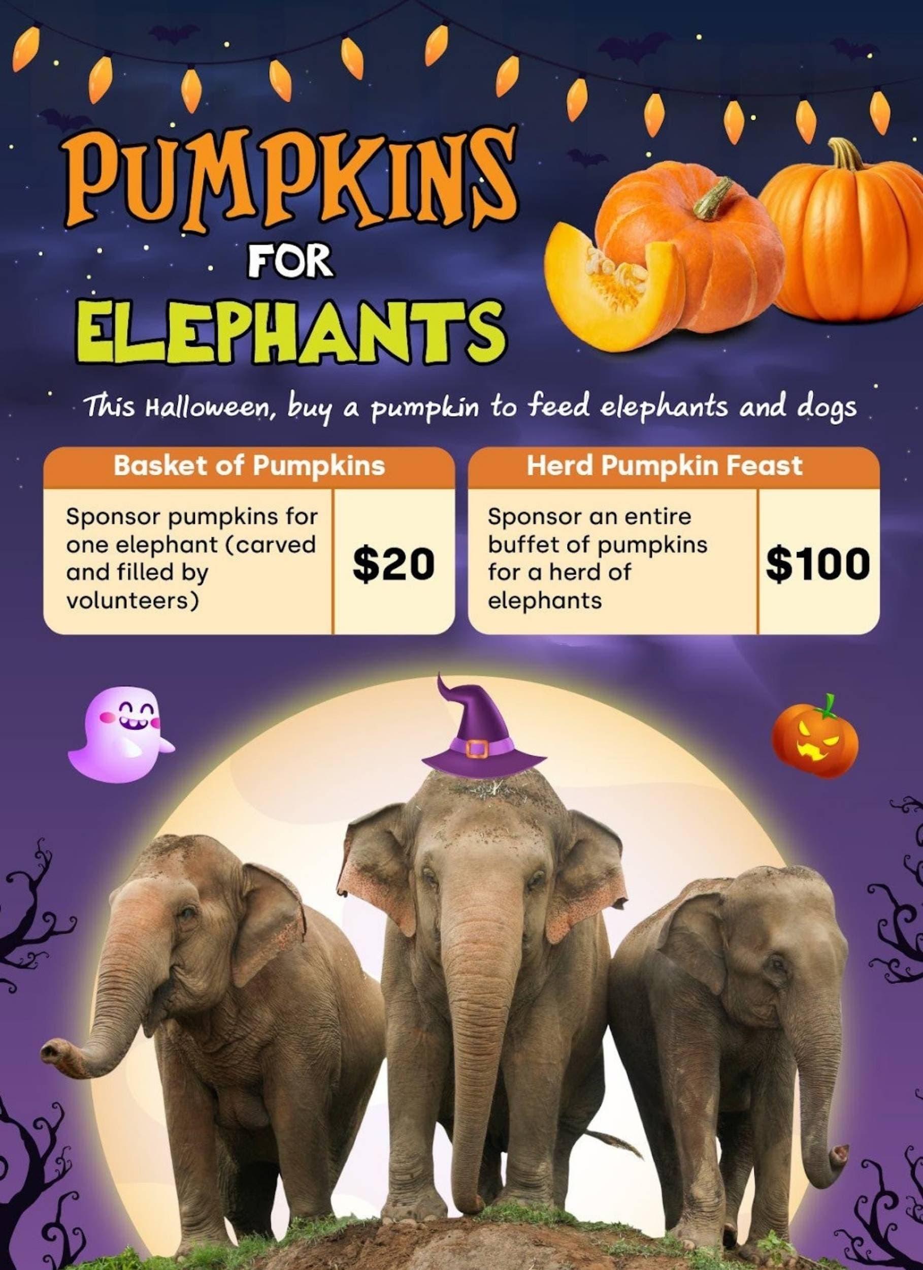 PumpkinsforElephants