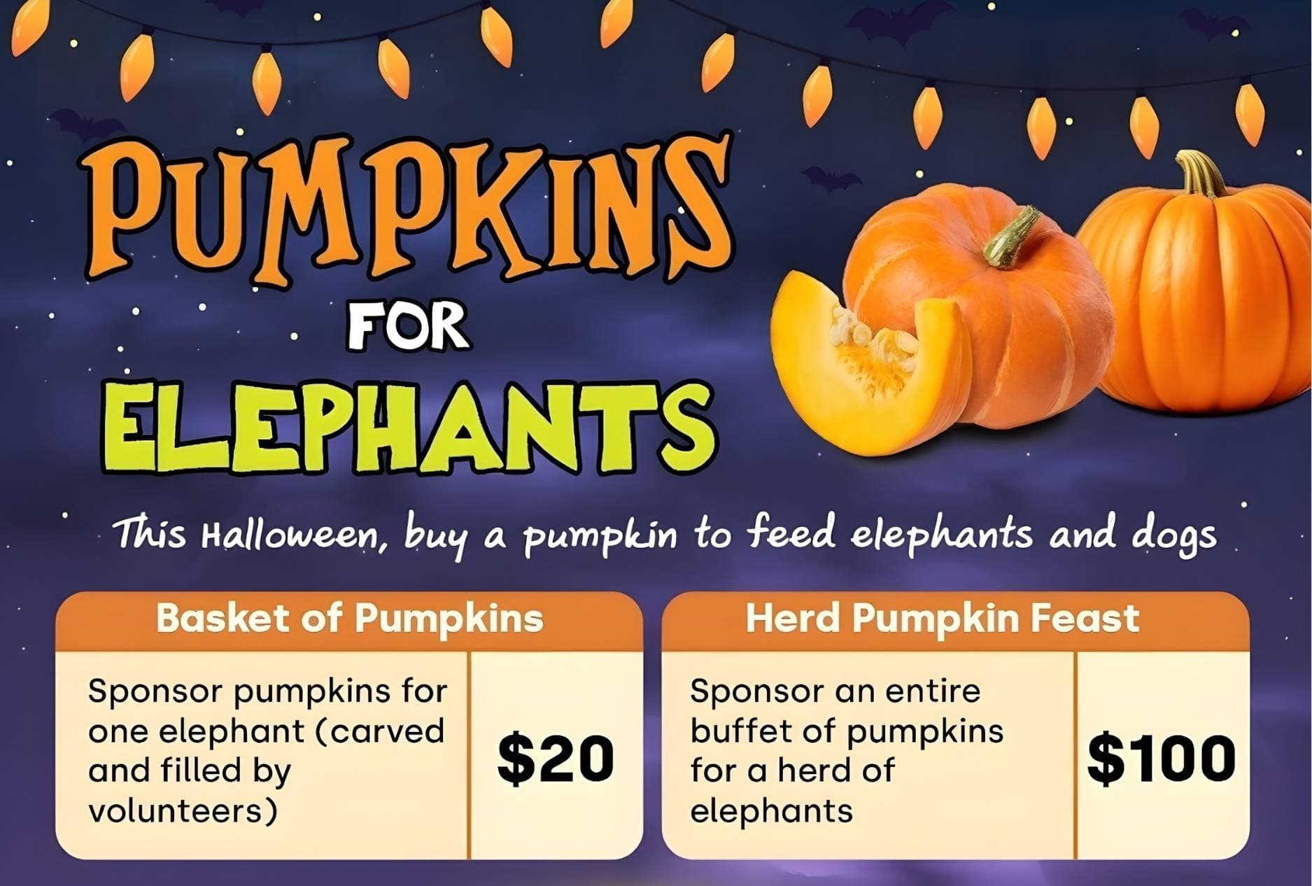 PumpkinsforElephants