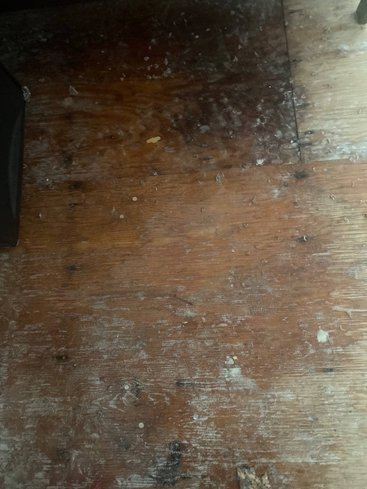 FloodedHomeRelief