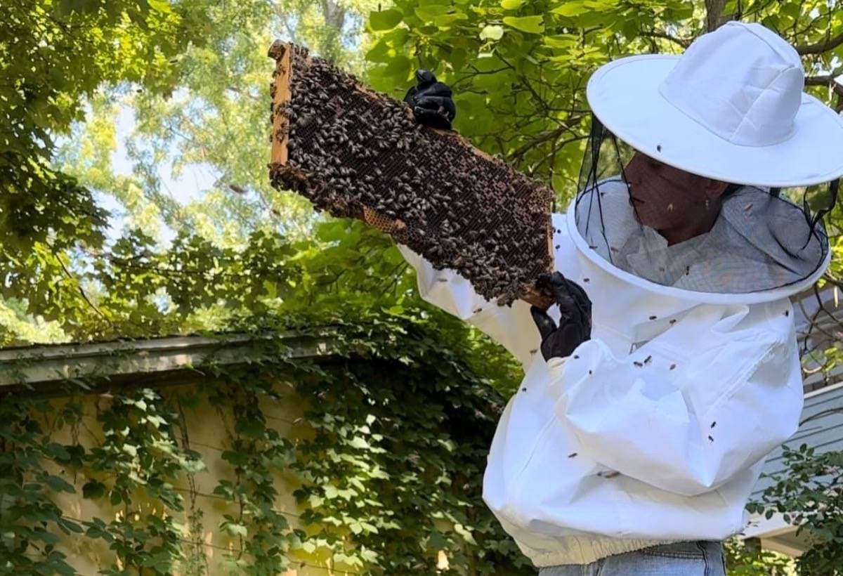 HiveToTable