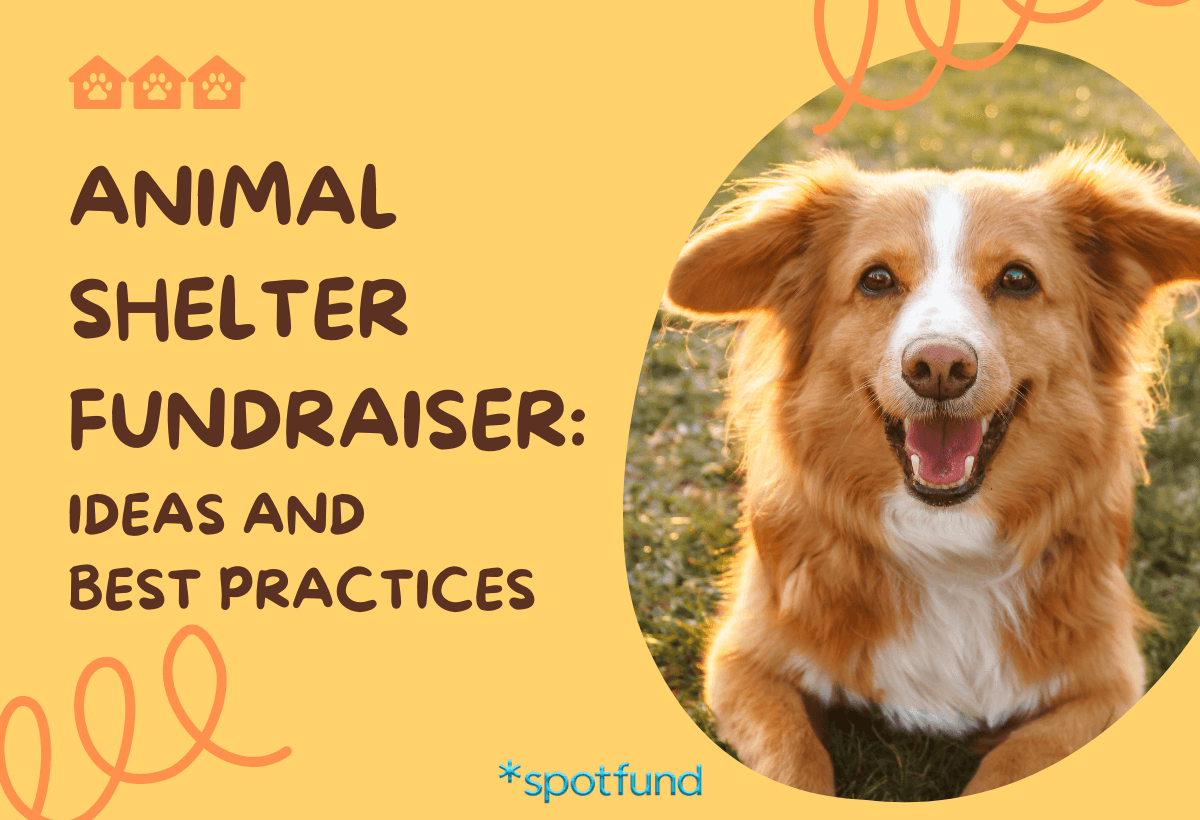 Animal Shelter Fundraiser: Ideas & Tips