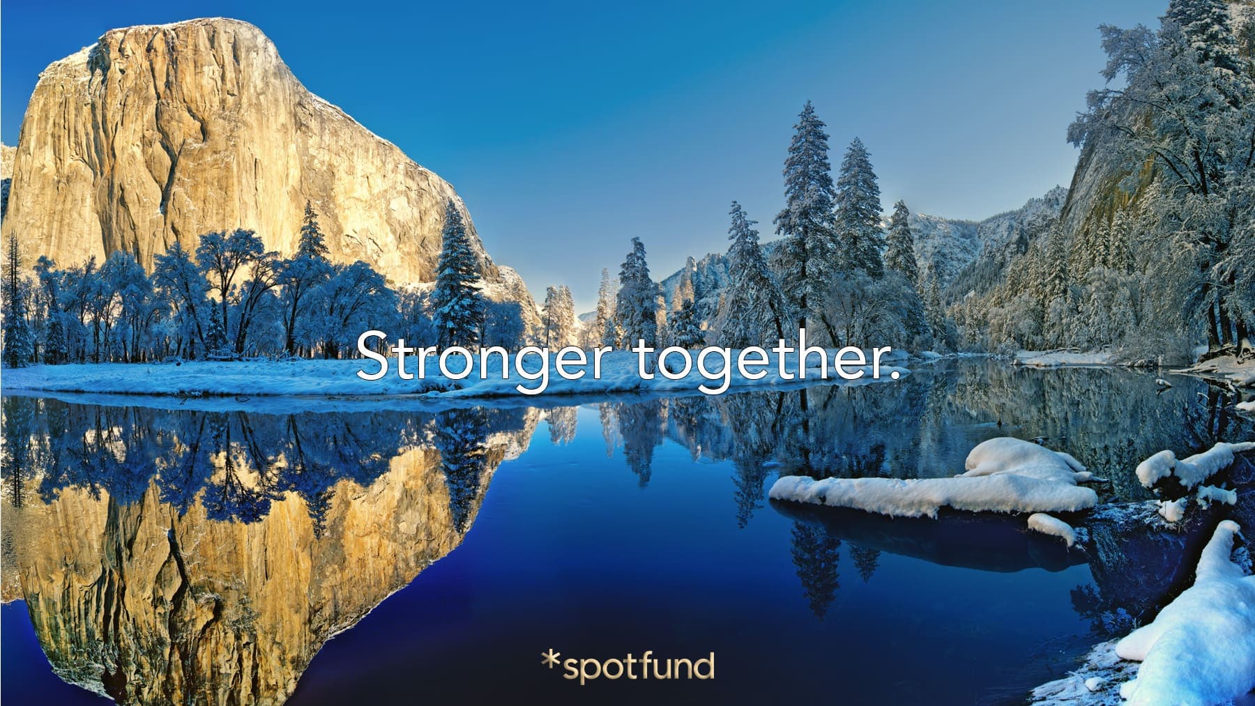 Support For The Markoff Family