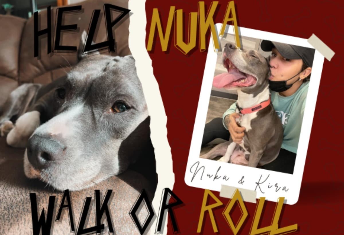 HelpNukaWalkOrRollAgain