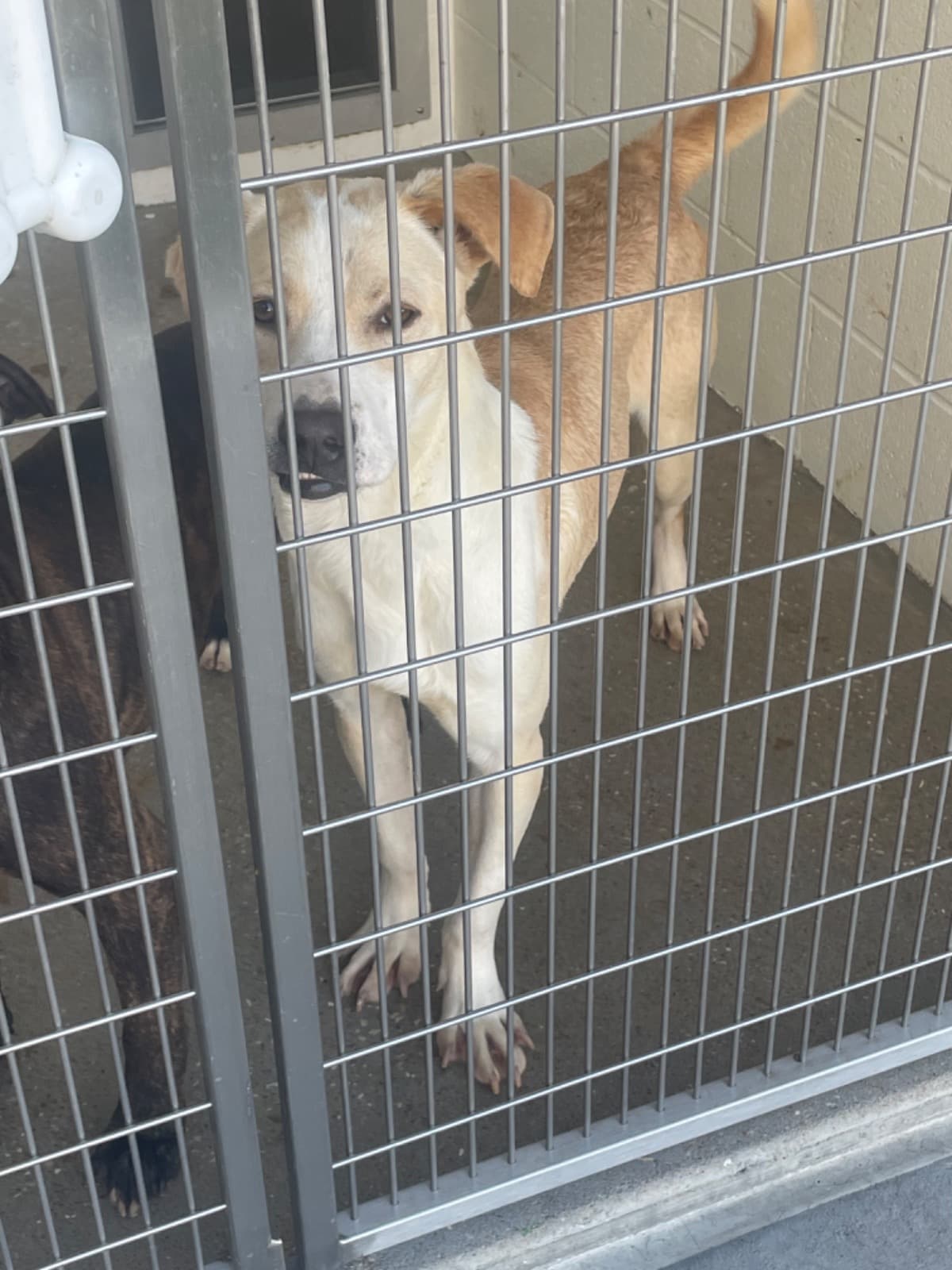 LetsGetSweetsToMaine