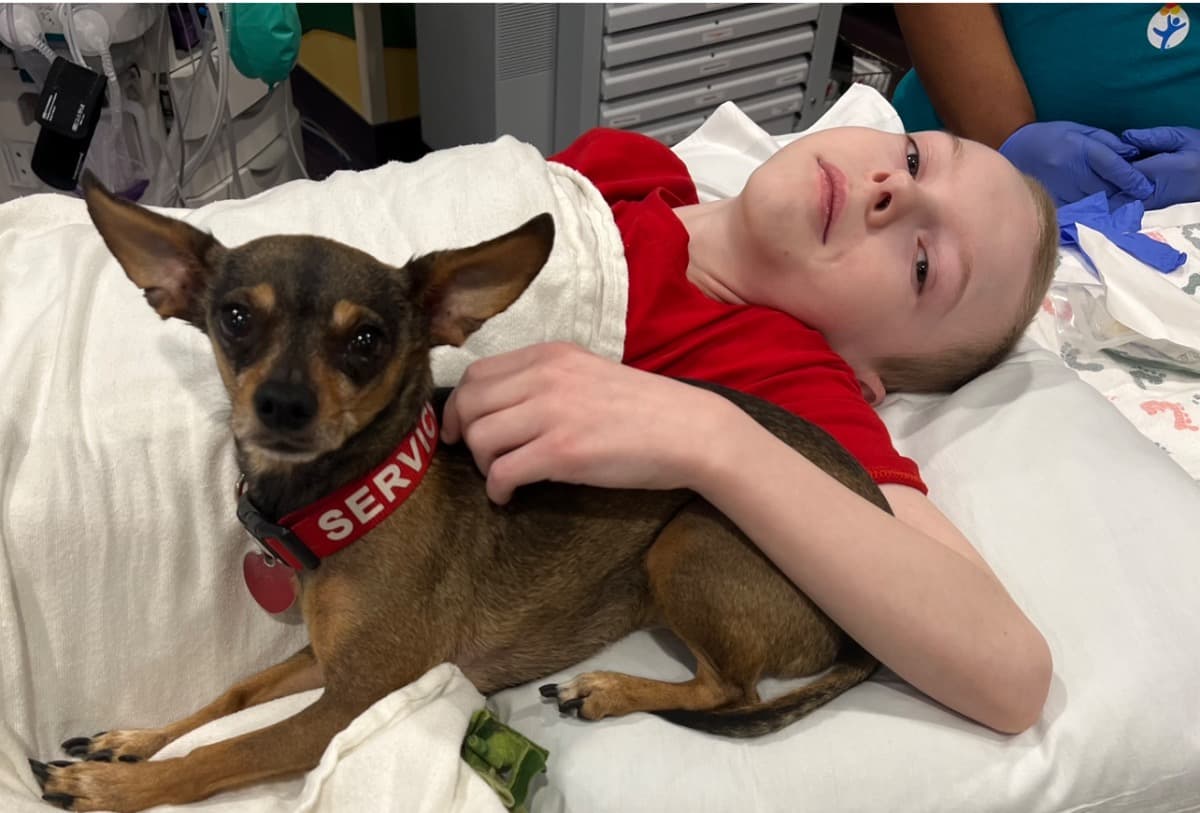 SavingServiceDogBatman