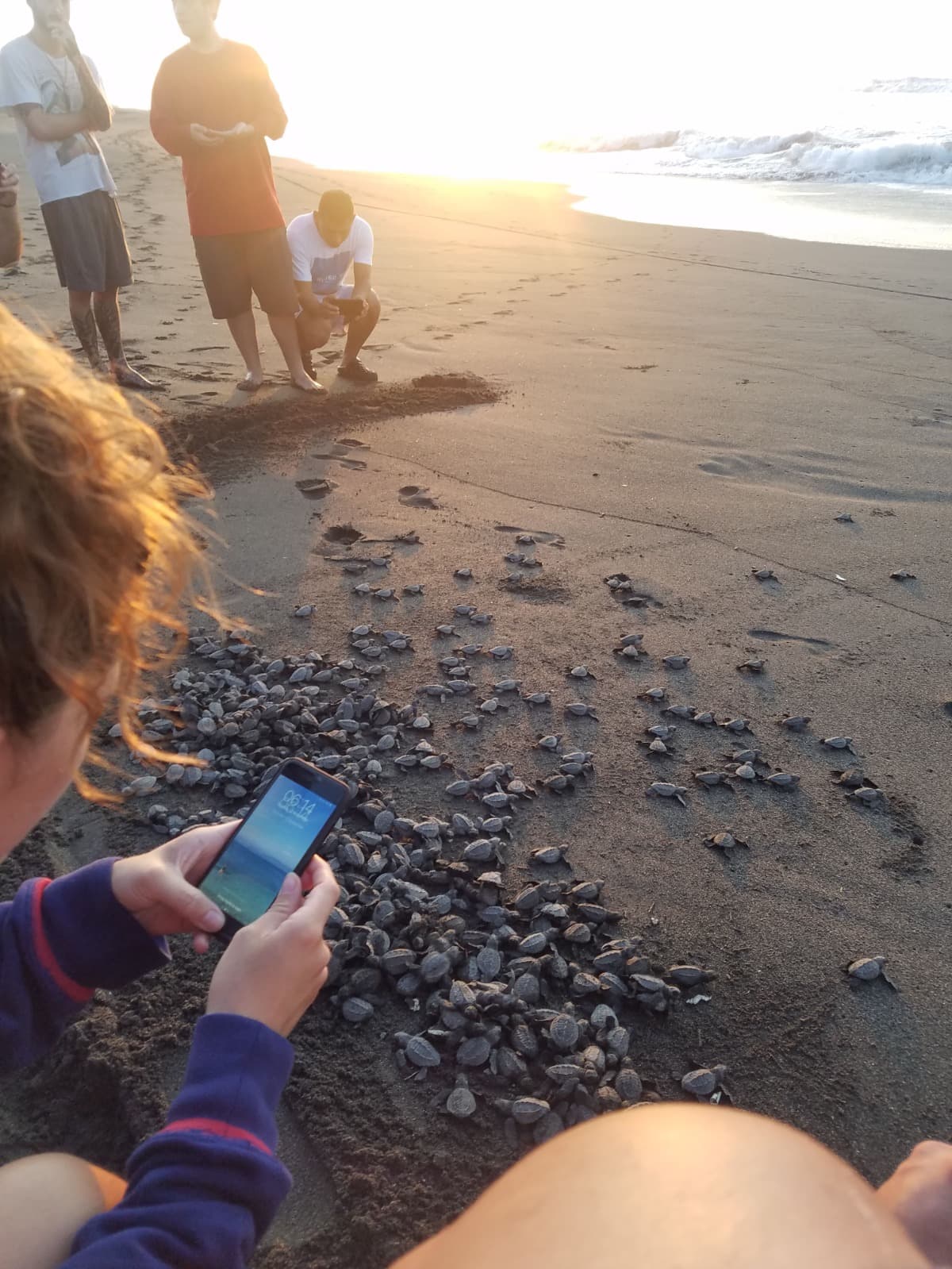 SaveTurtlesGuatemala