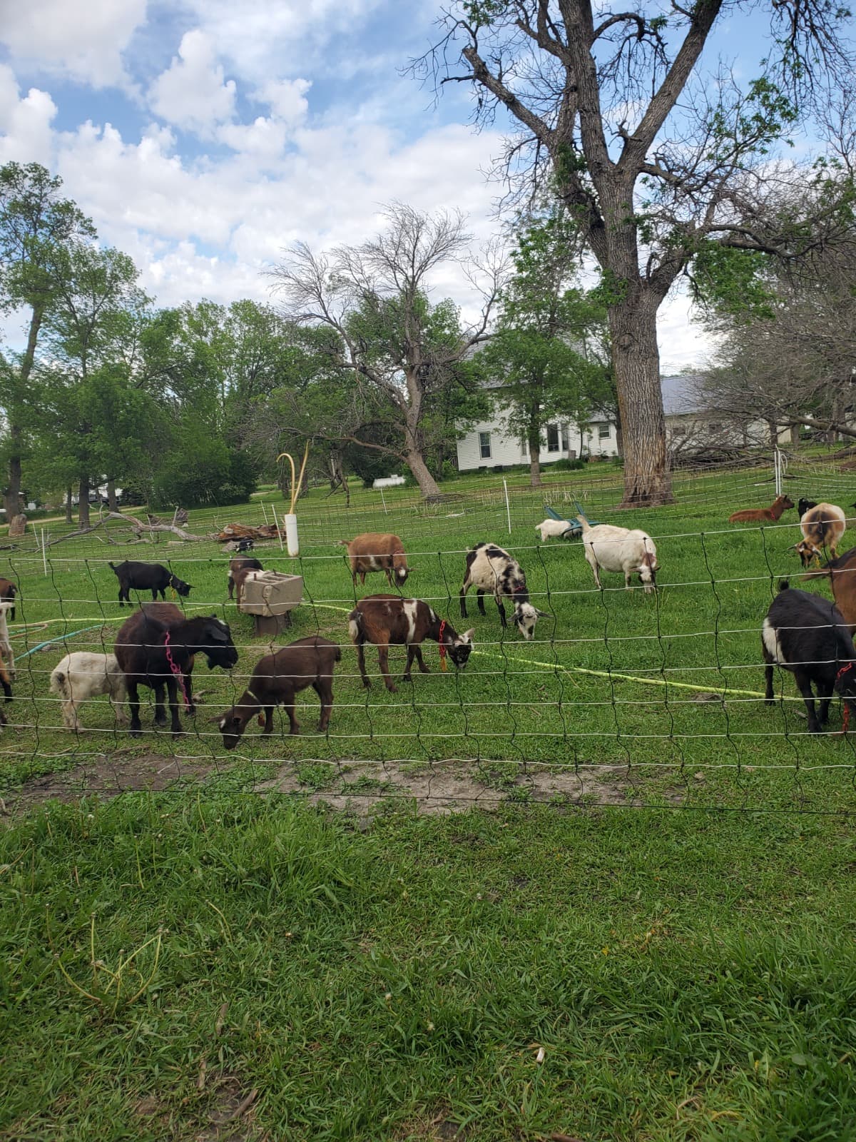 HelpOurNationsHomelessVeter