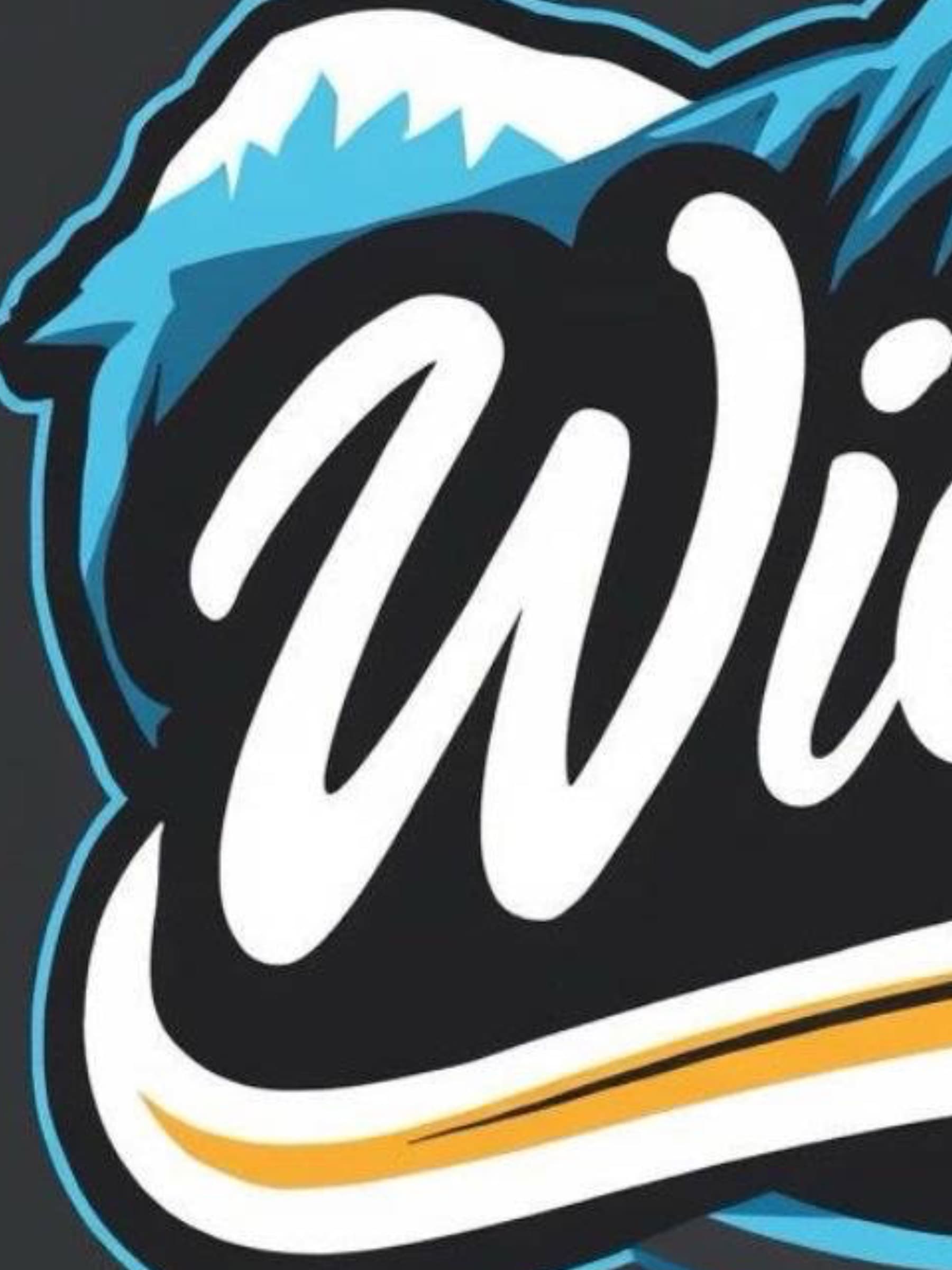 WickedRecoveryFundDonation