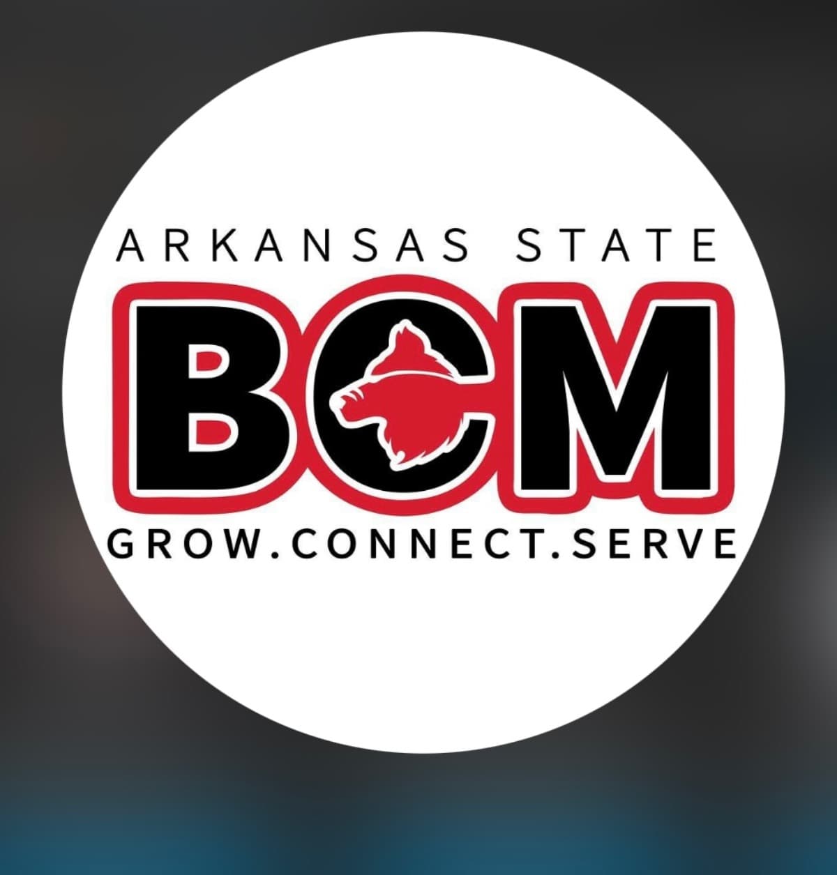 BrianasMissionTrip