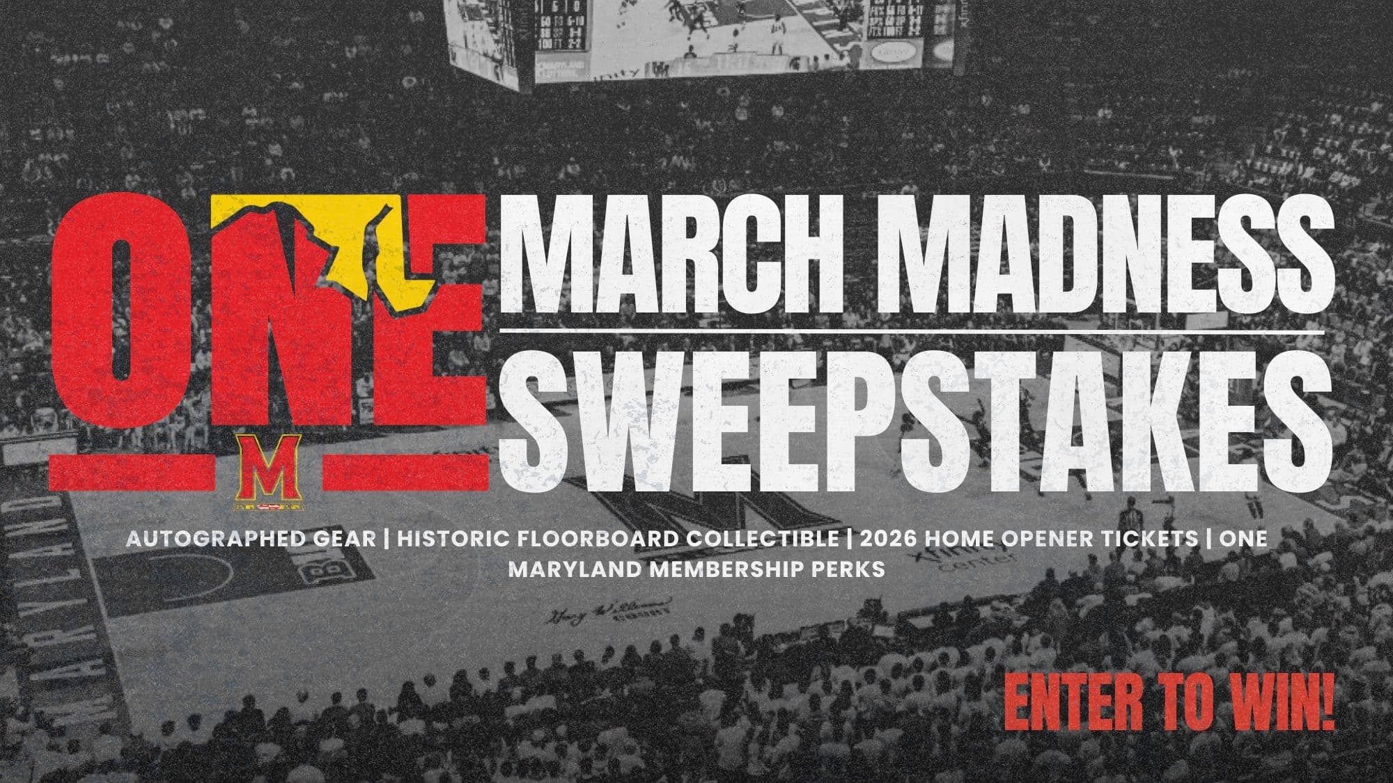 One Maryland March Madness Sweeps
