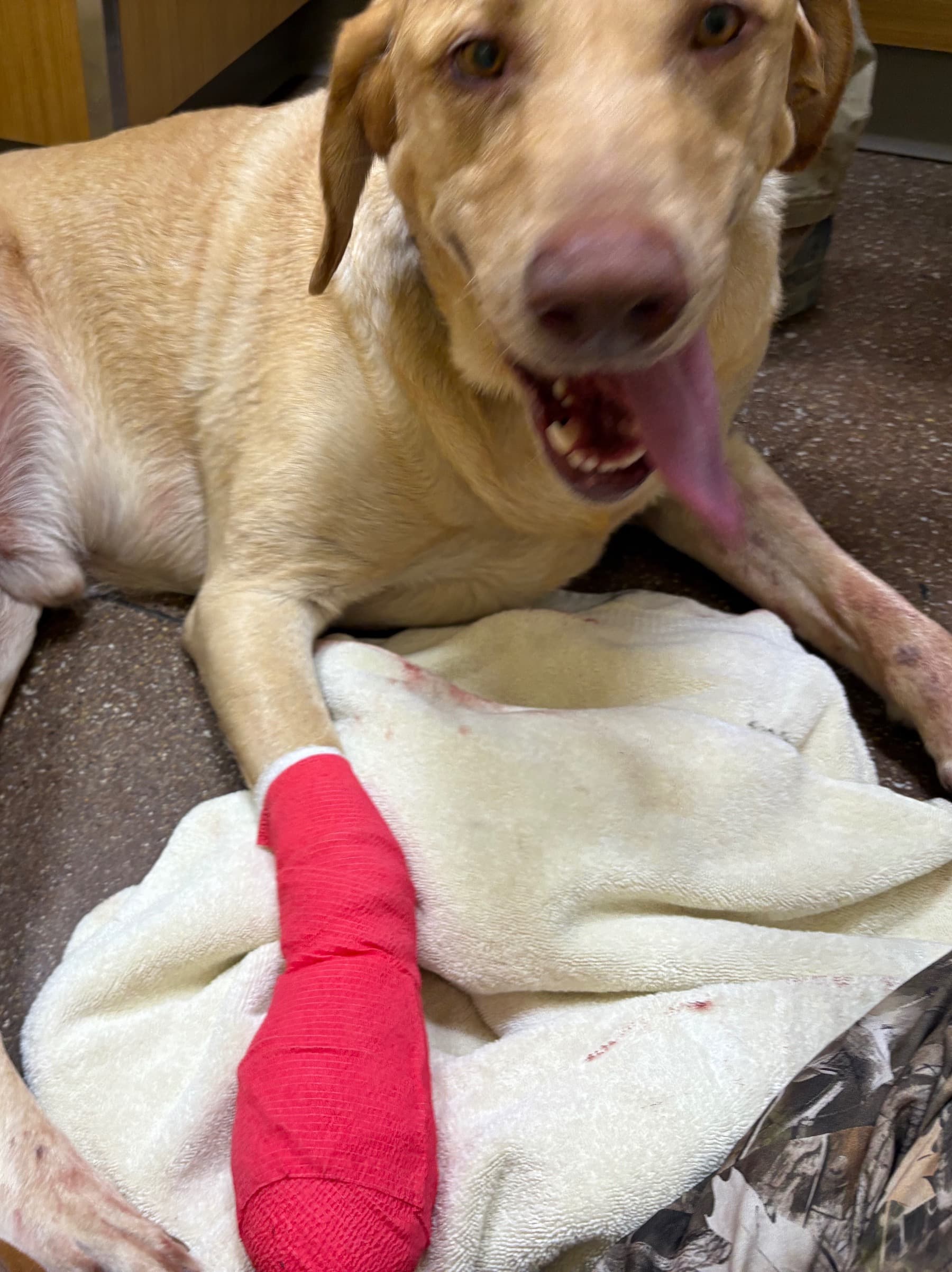 BenjisRoadToRecovery