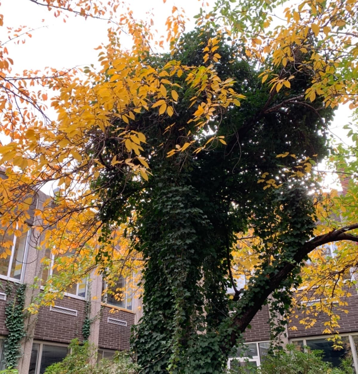 AfghanMPFamilyInTransit