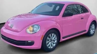 Help Daphne's Dream Bug Come True!