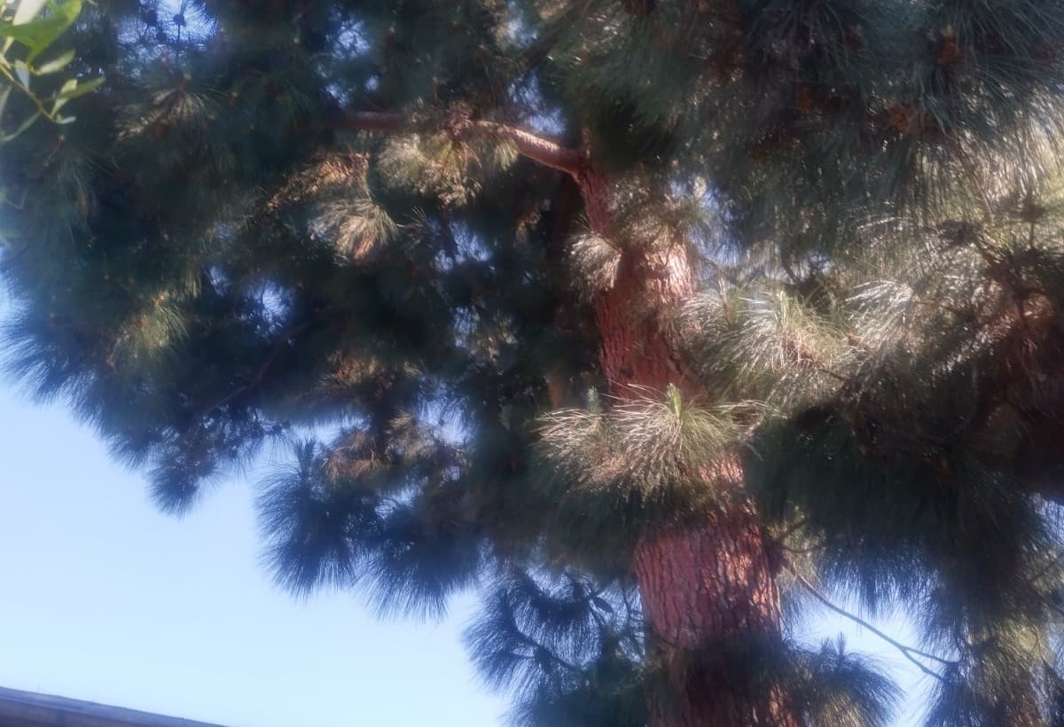 SaveFamilyFromAUrgentCrisis