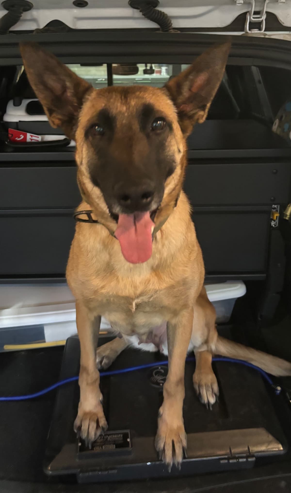 K9Unit