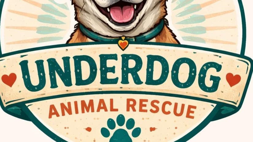 Keep Our Shelter Alive