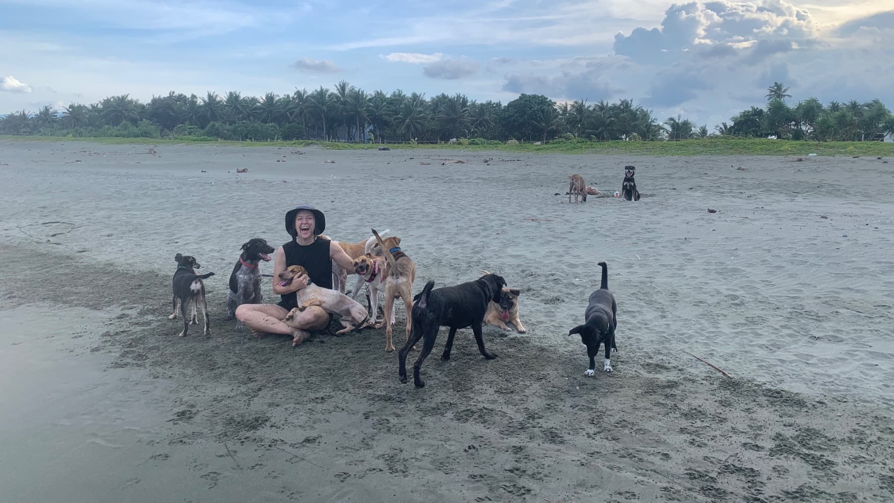 13 Rescued Dogs, One Epic Journey to Safe Forever Homes