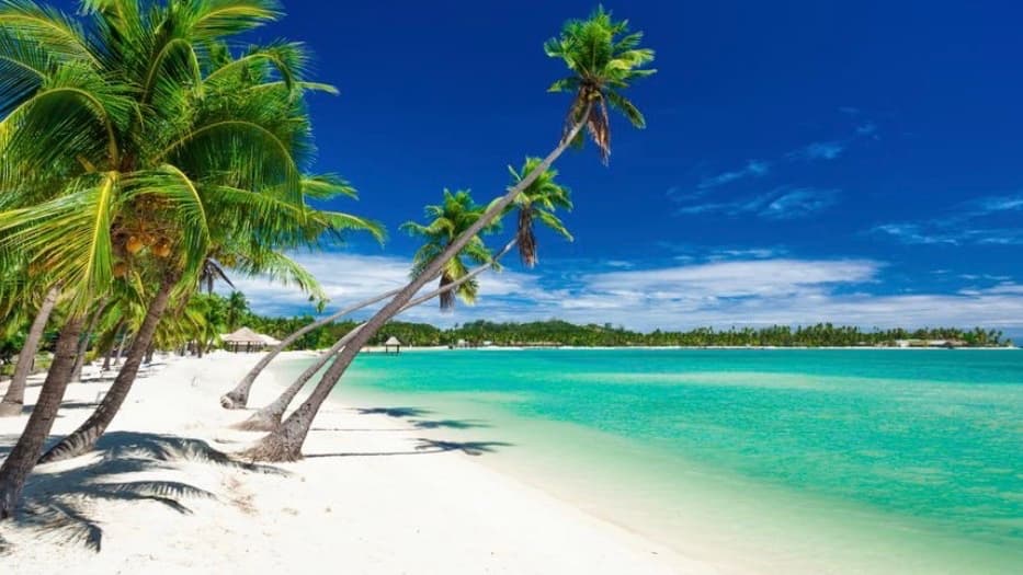 Help Us Fulfill Our Lifelong Dream To Fiji