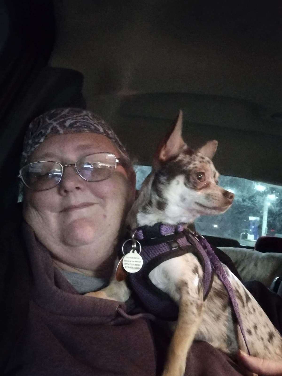 HelpWithDogfoodForMyDogs