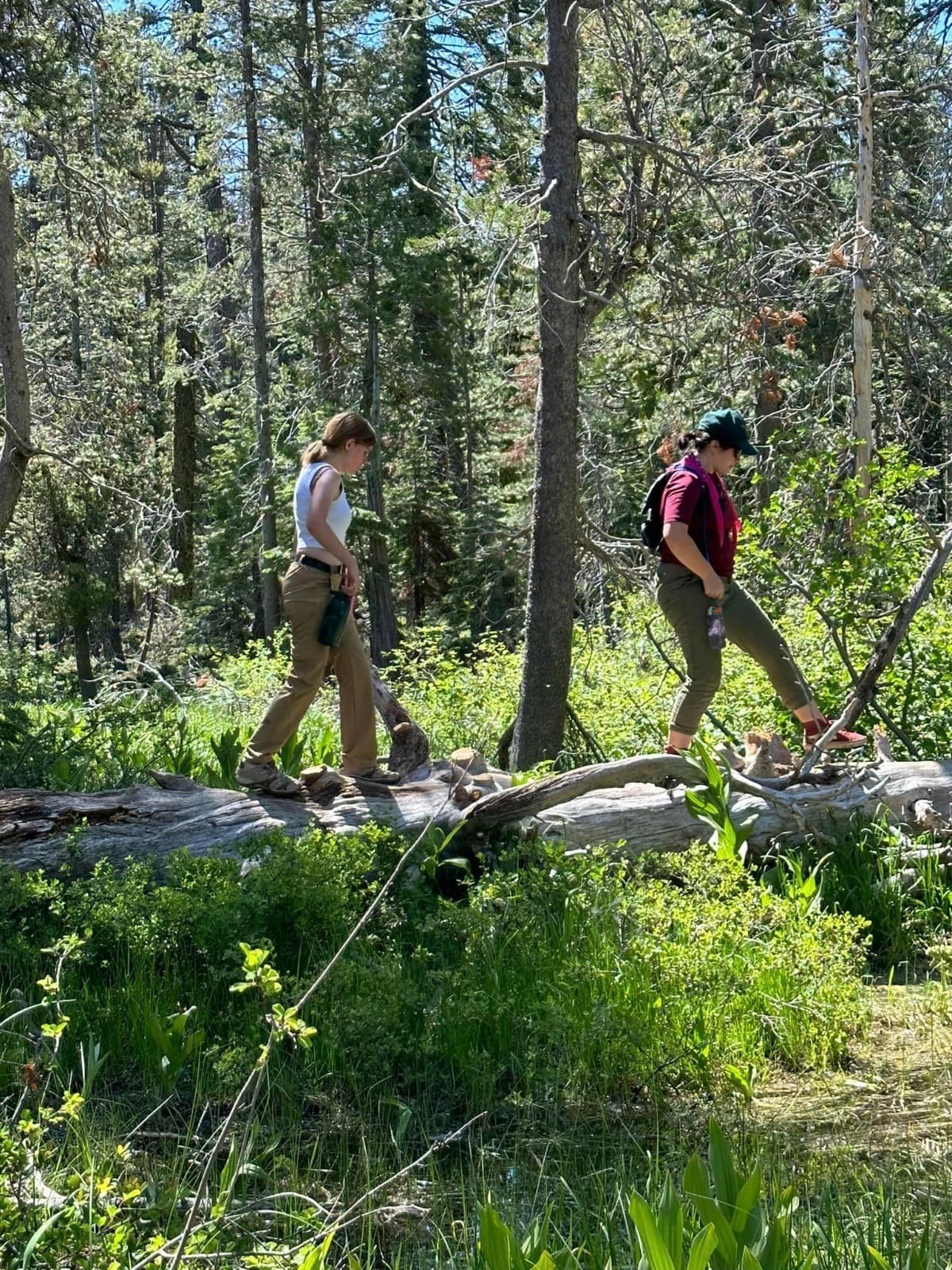 MyraHarrisEagleProject