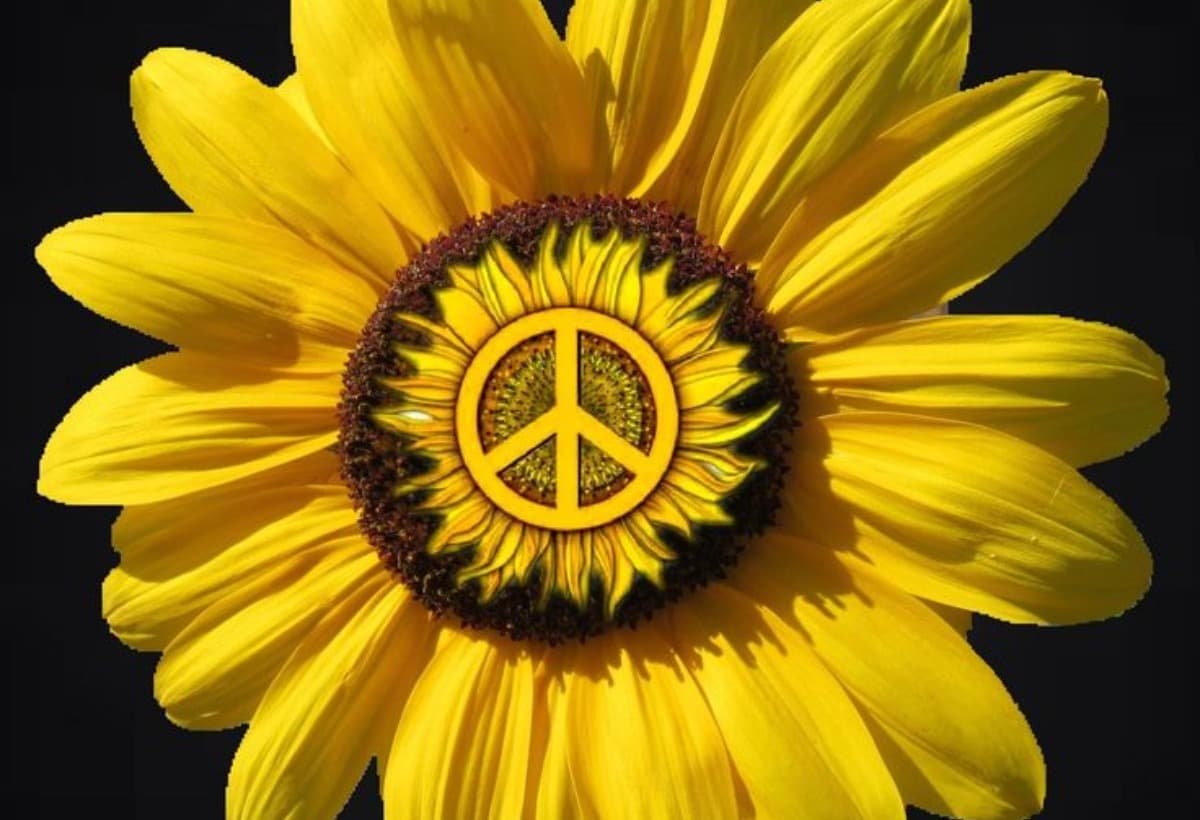 TheRDFactor2022Sunflowers