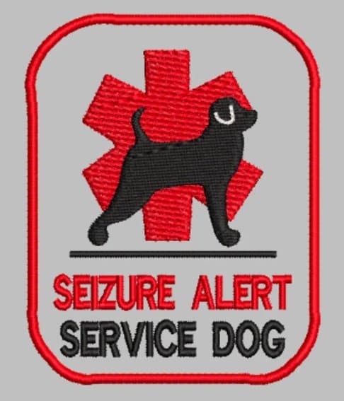 Support A Service Dog For Seizure Safety