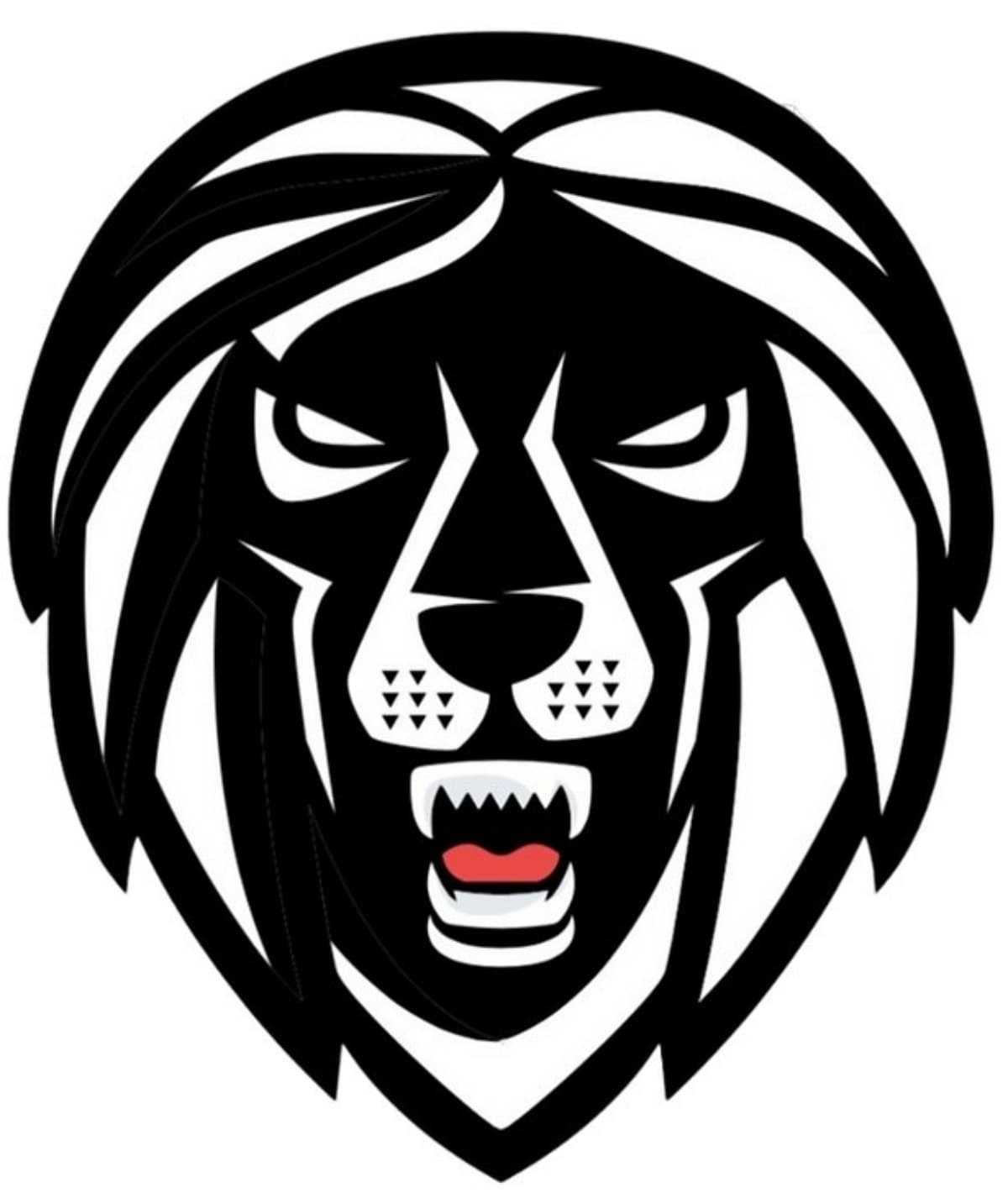 ChangingYouthBasketball