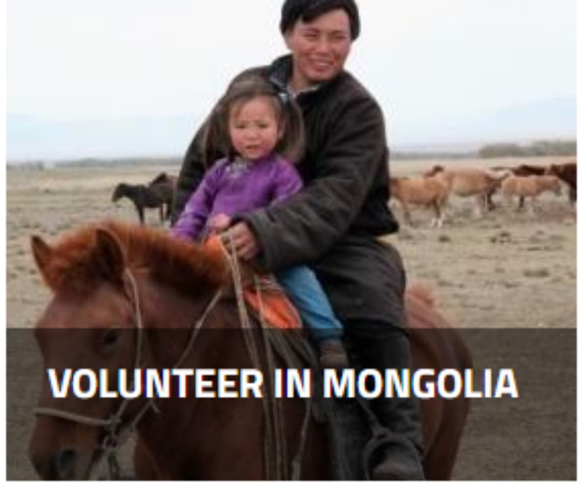 VolunteeringInMongolia