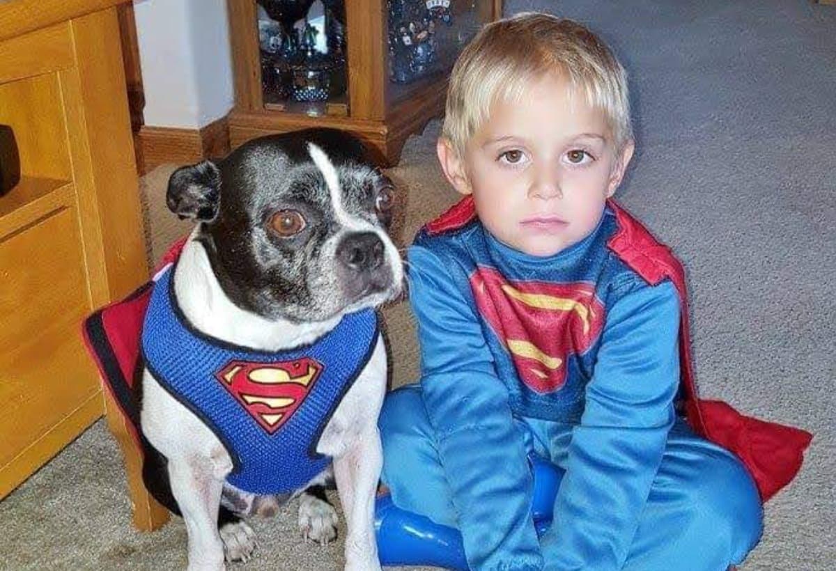 DexterHasCushingsDisease