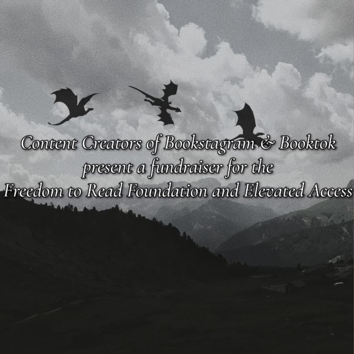 BookishCreatorFundraiser