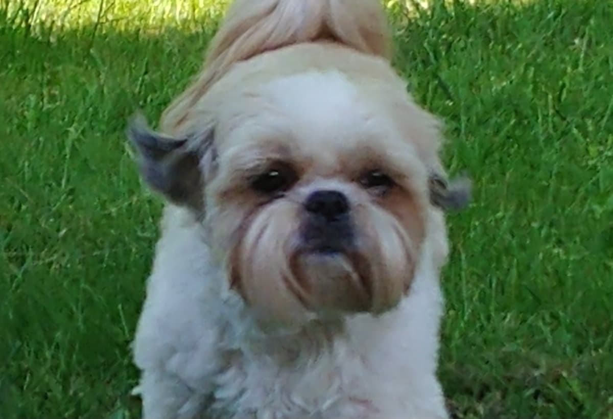 ForTheLoveOfMamaMona